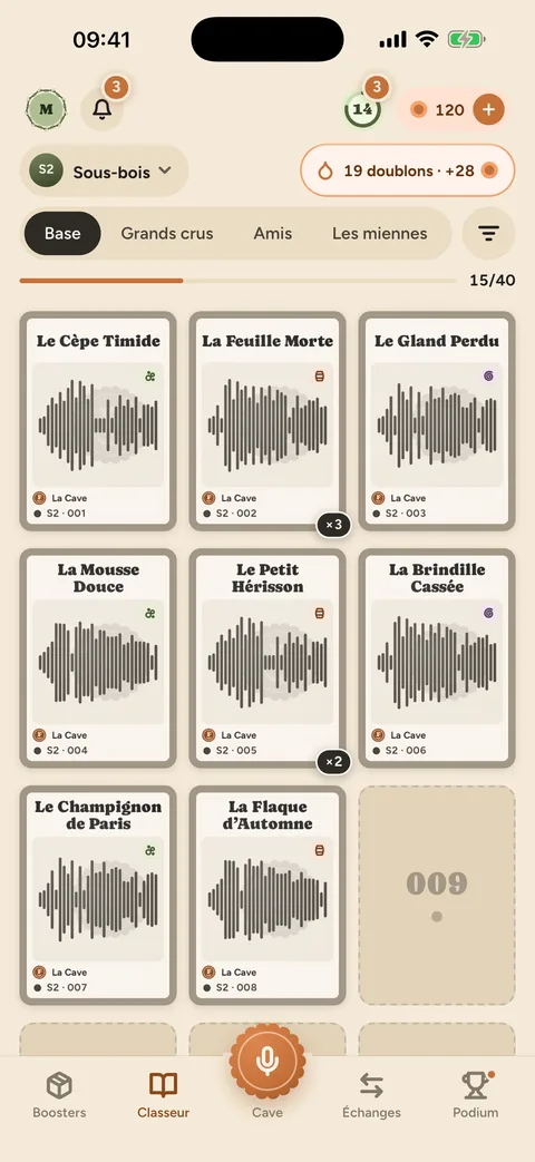 Le classeur et son set de base